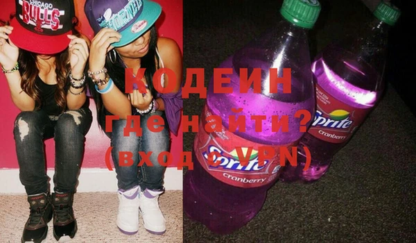 индика Алзамай