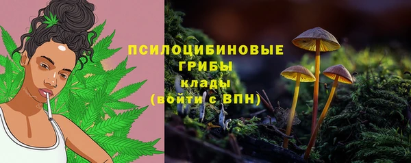 молекула духа Алексеевка