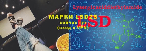 шишки Снежинск