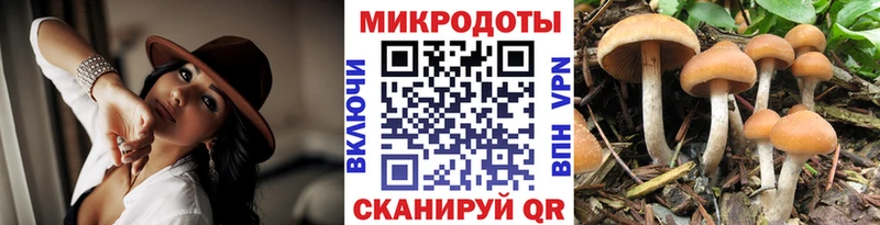 ссылка на мегу ссылка  где найти наркотики  Кукмор  Псилоцибиновые грибы Cubensis 